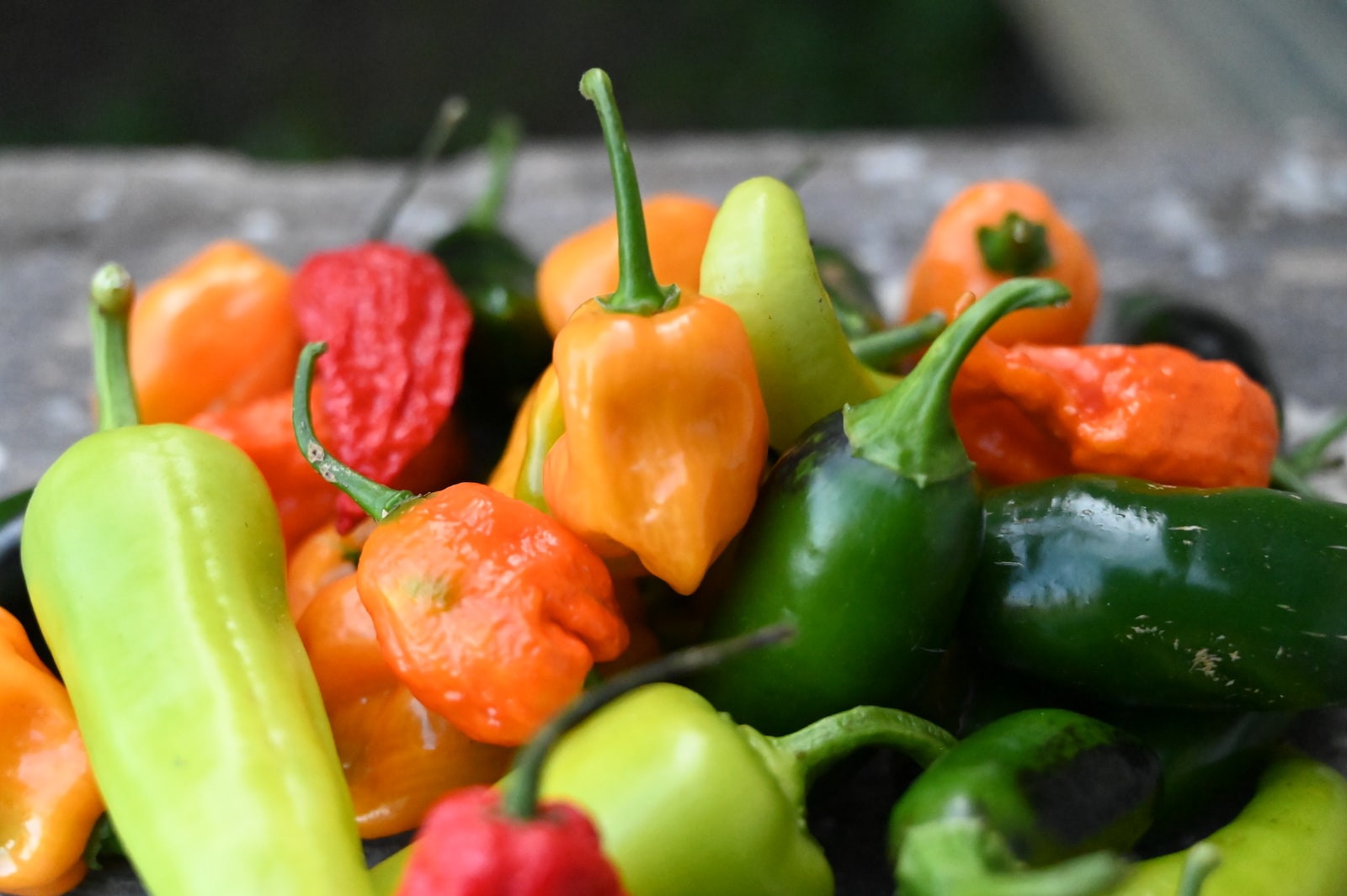 Warning! The World’s Hottest Pepper