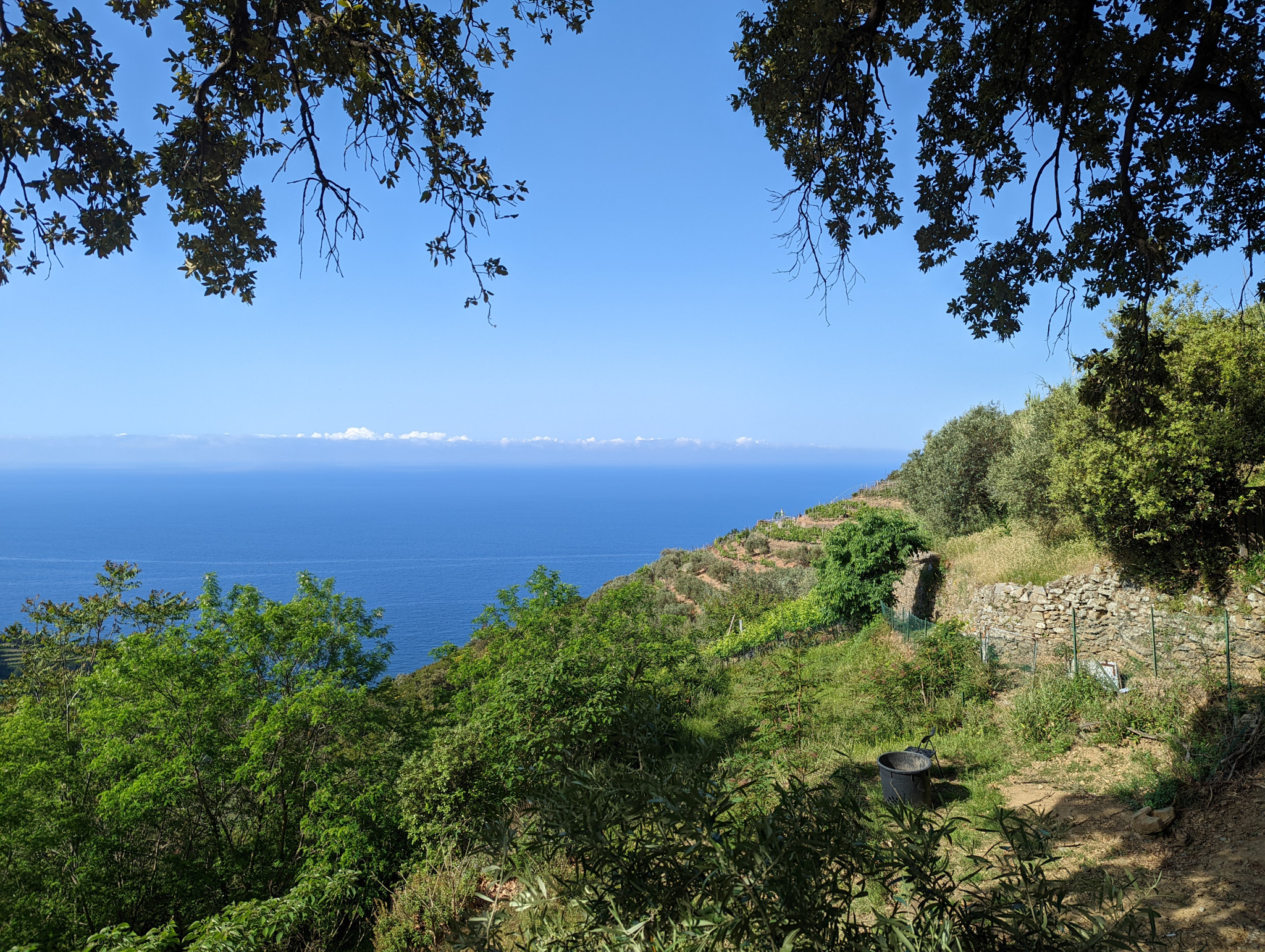 The Unique Wine with a Hard to Pronounce Name
