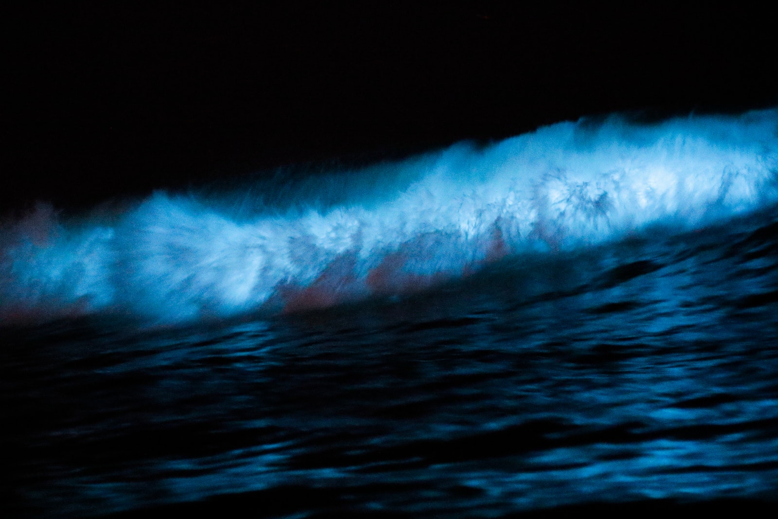 Gleam and Glow with Bioluminescence