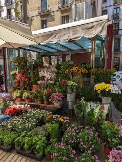 Las Ramblas, Barcelona, Spain