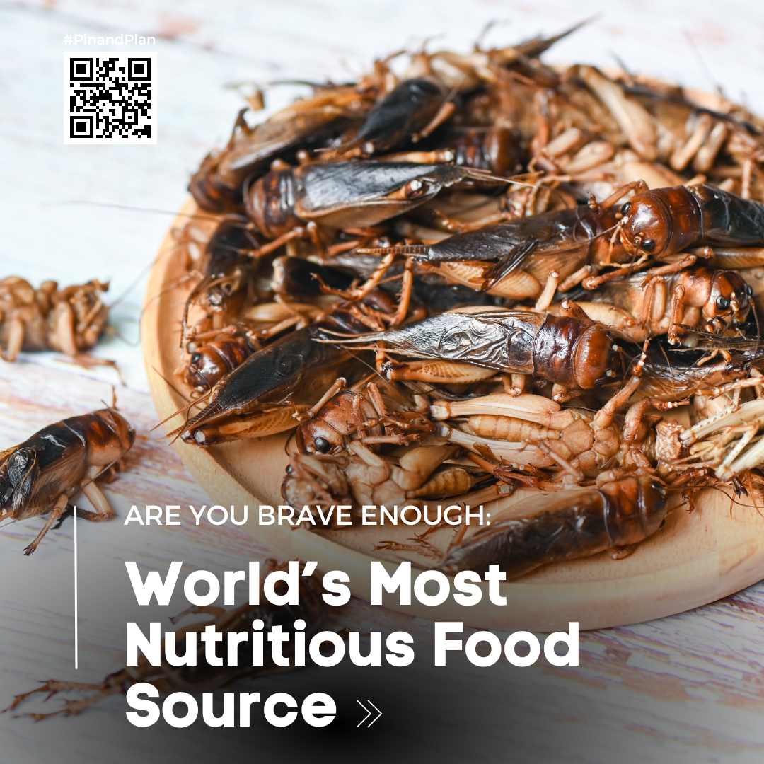 Are You Brave Enough to Try the World’s Most Sustainable and Nutritious Food Source?