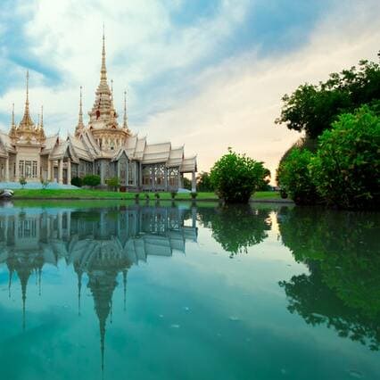 party-camping-men-women-group-forest (1) (1)